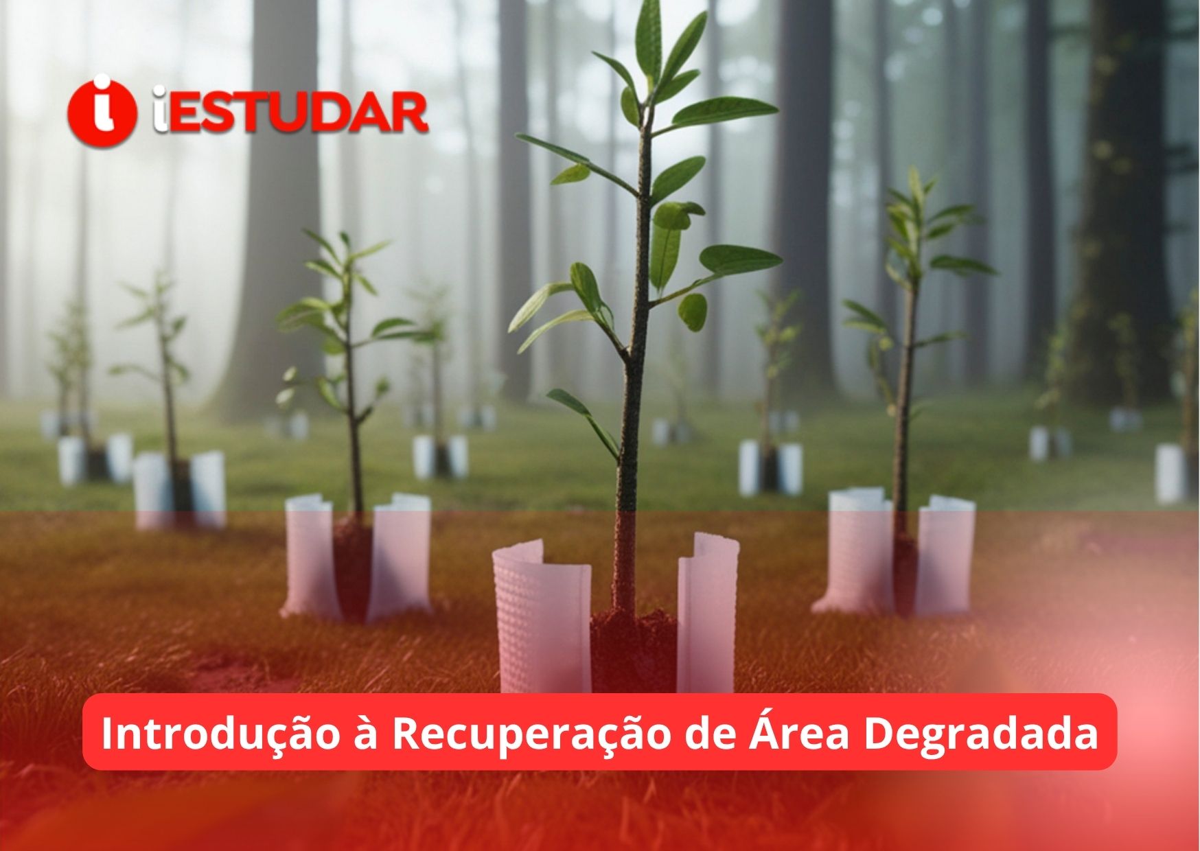 Curso online de Introdução à Recuperação de Área Degradada