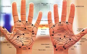 Curso online grátis de Reflexologia das Mãos