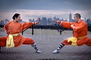 Curso online grátis de Teoria do Kung Fu