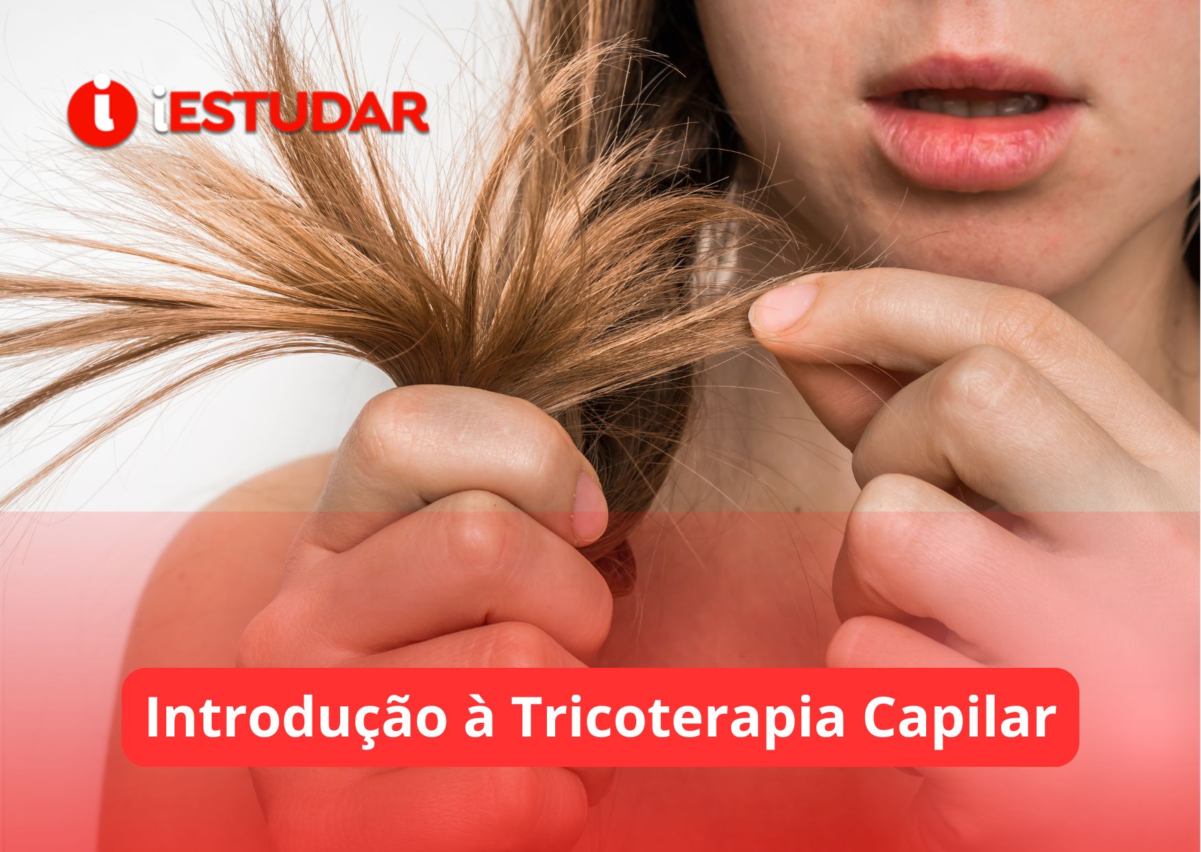 Curso online de Introdução à Tricoterapia Capilar