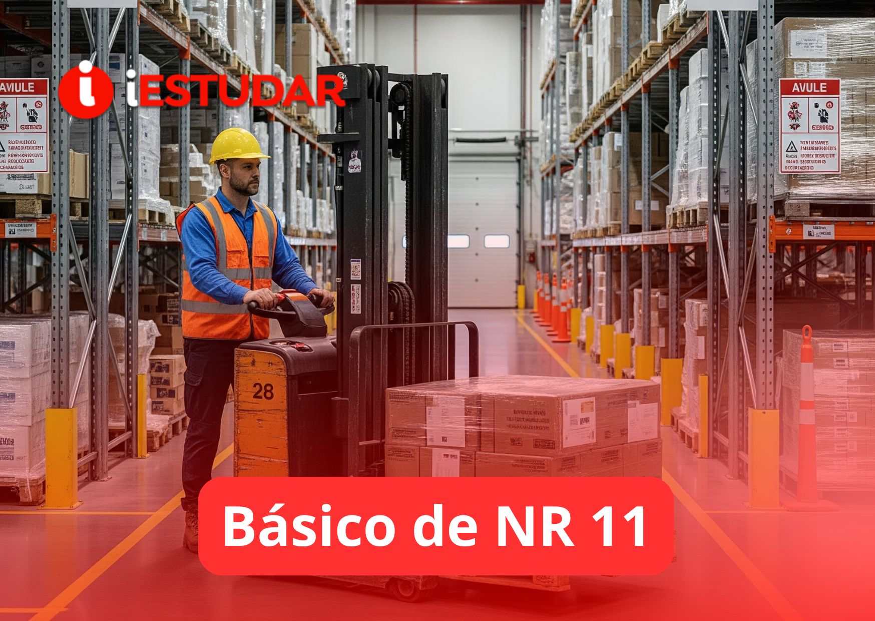 Curso online de Básico de NR 11